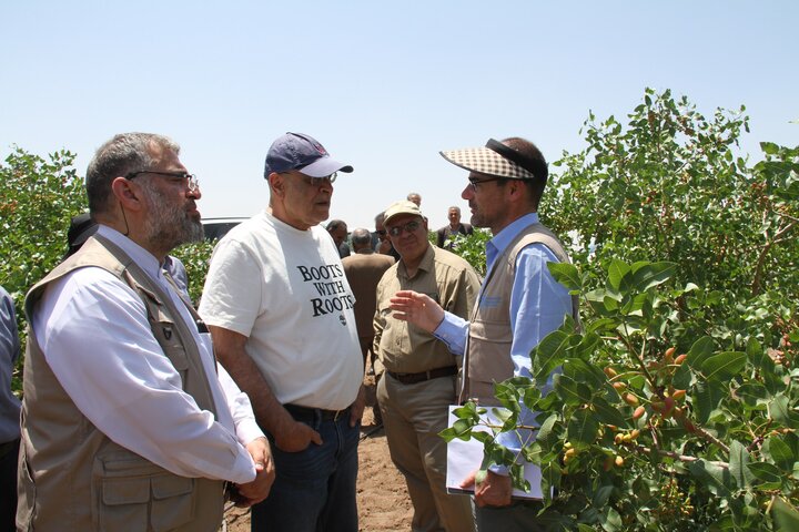 FAO expert visits Iran to help boost pistachio competition