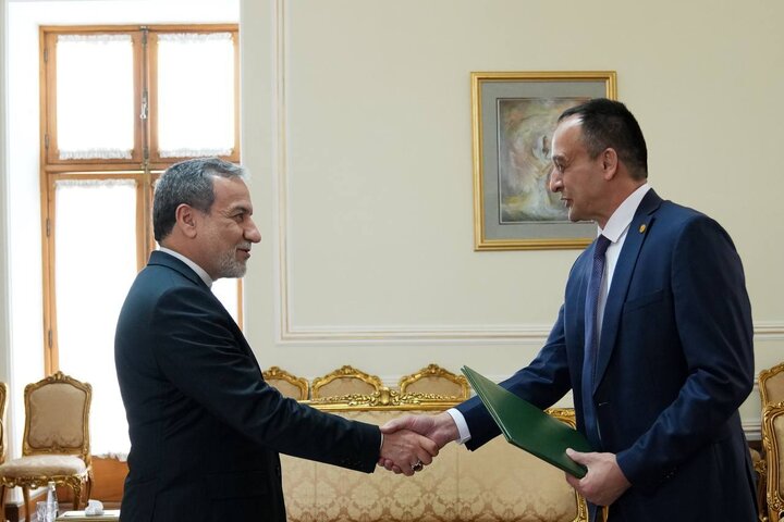 FAO’s new envoy presents credentials to FM Araghchi