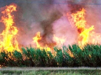 قائم‌پناه: نمی‌شود اهواز زیر دود سنگین سوزاندن مزارع باشد