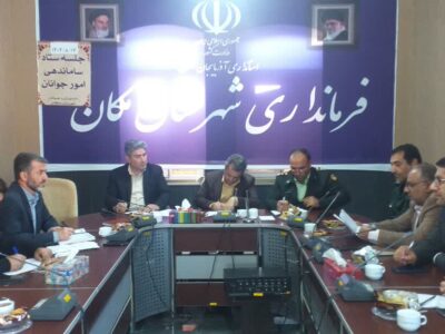 تحلیل سیاست‌های تسهیل ازدواج در شهرستان ملکان: رویکردی مشارکتی و ساختاری در ستاد ساماندهی امور جوانان