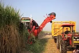 برداشت کاملا سبز نیشکر در خوزستان آغاز شد