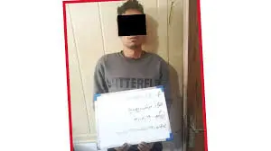 پلیس، شبح باغ ویلاها را از «دیوار» بیرون کشید