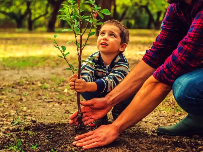 ۷ درخت میوه که میتوانید در فصل پاییز بکارید