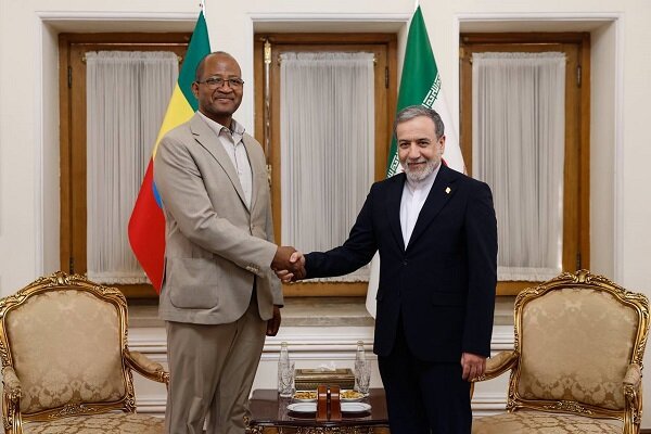 Tehran, Addis Ababa stress expanding political, economic ties