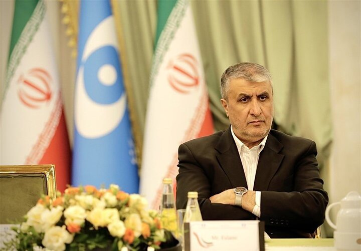 Iran has deterrence without nukes: nuclear chief