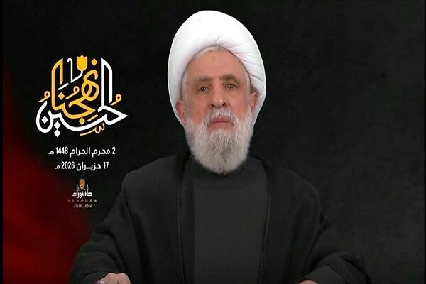 Hezbollah resistance carried out 3,185 ops: Qassem