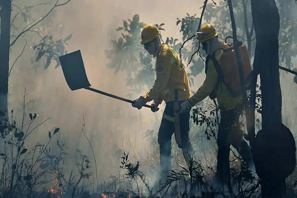 VIDEO: Massive wildfire rips through forests in Spain