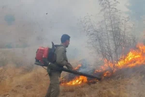 حریق ۳ هکتاری در طوعلی علیا مهار شد