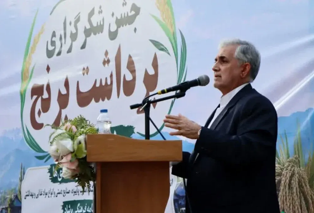جشن شکرگزاری برنج در میانه