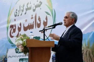 جشن شکرگزاری برنج در میانه